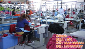 t恤衫工廠,京嘉服飾 已認證 ,t恤衫最低優(yōu)惠價格