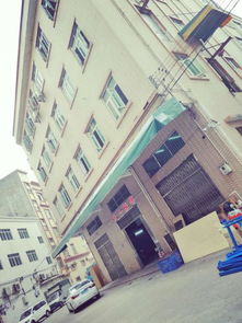 東莞天一針織毛衣加工廠 專業(yè)針織毛衣加工，滿足多樣化服裝需求