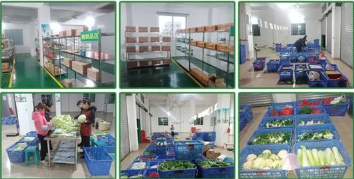 煜鮮農副產品配送 從田間到餐桌，守護您的每一餐新鮮